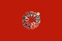 成武回收红酒